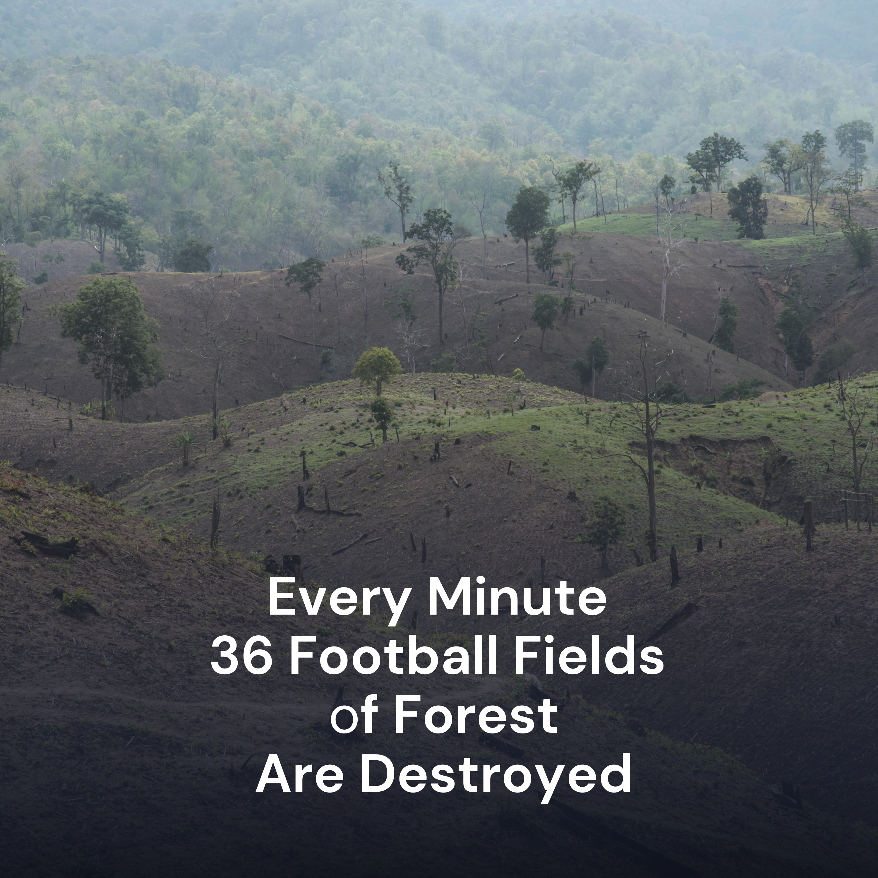 Minimalist Zero Waste Journal