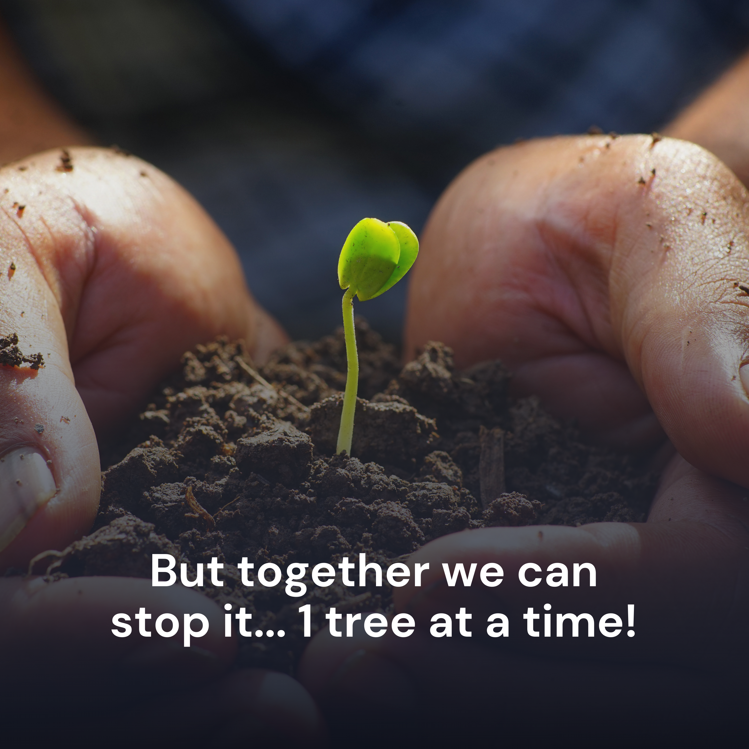 Minimalist Zero Waste Journal