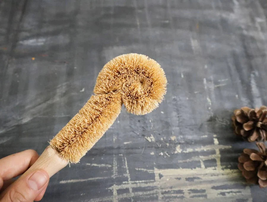 Coconut Bottle Brush | Zero Waste Cleaning Brush