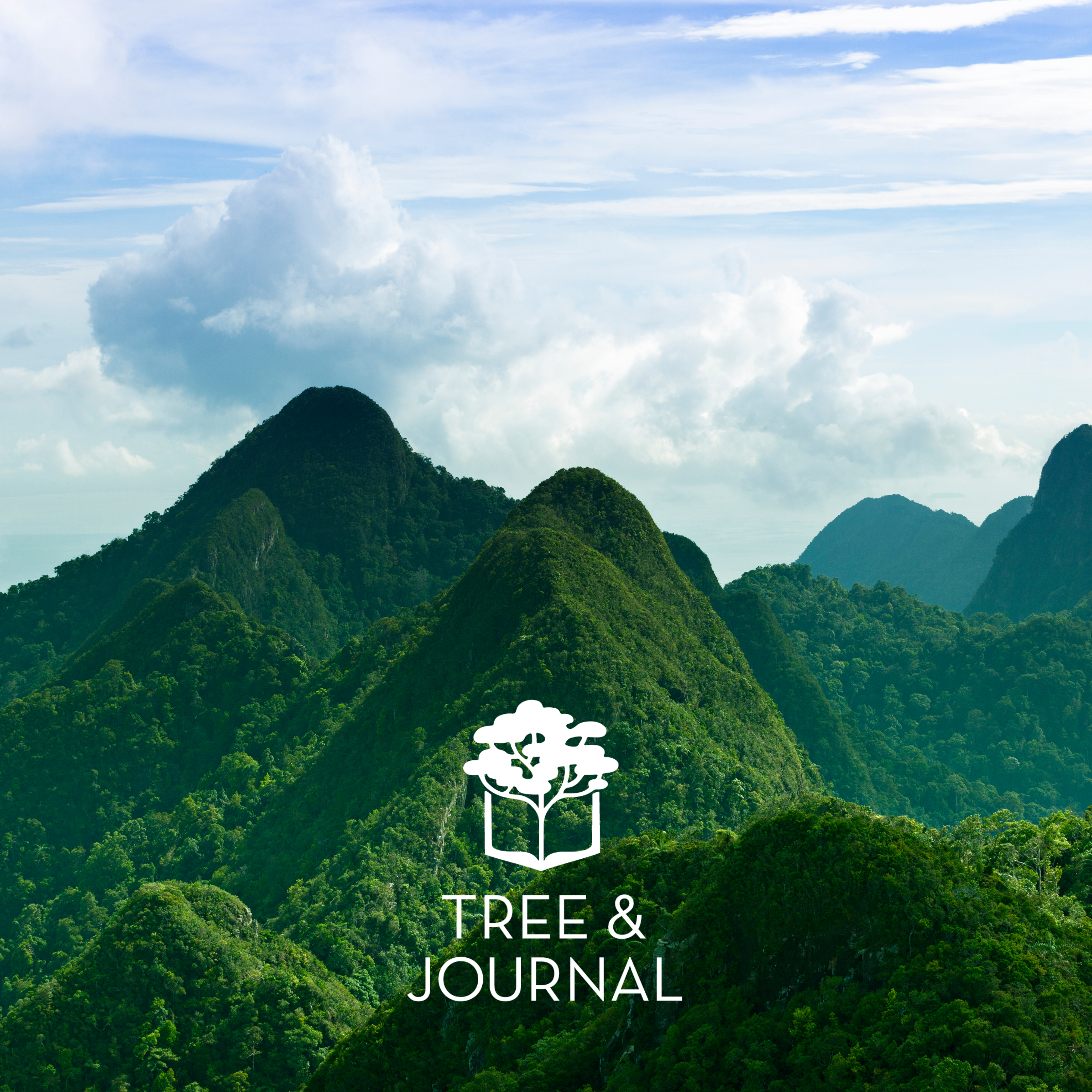 Minimalist Zero Waste Journal