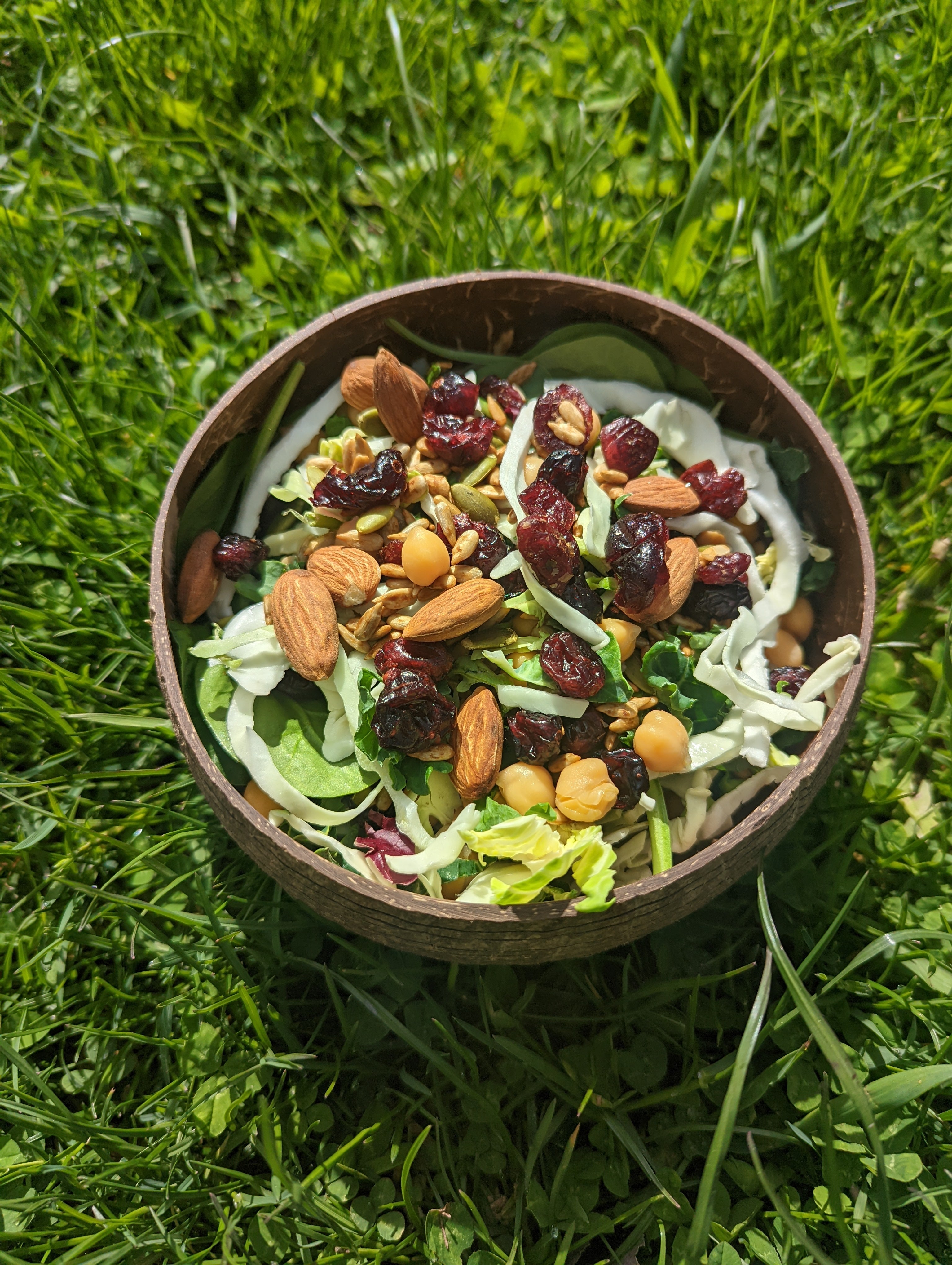Coconut Shell Salad Bowls | Natural Bowls | Plastic-Free Bowls