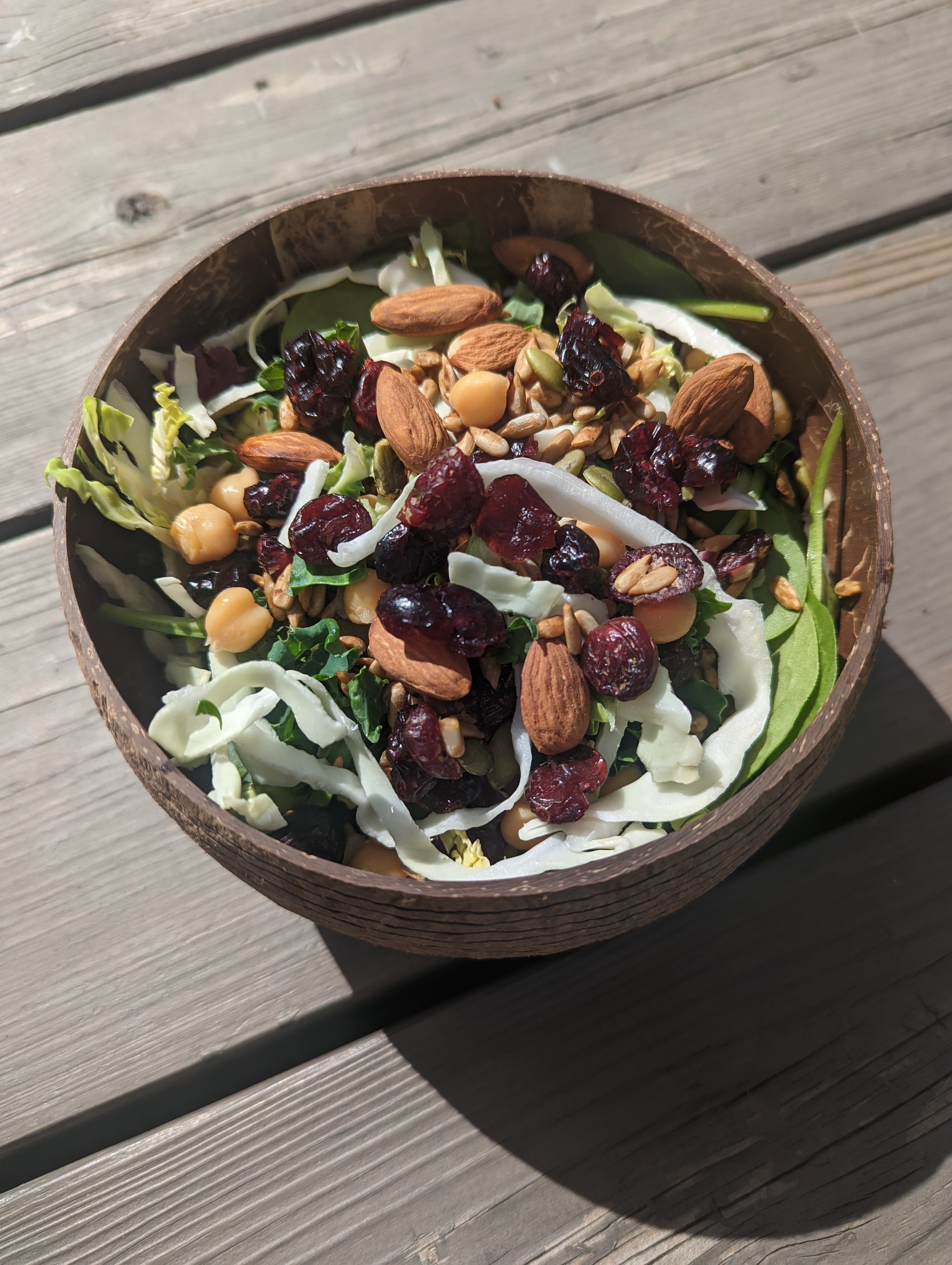 Coconut Shell Salad Bowls | Natural Bowls | Plastic-Free Bowls