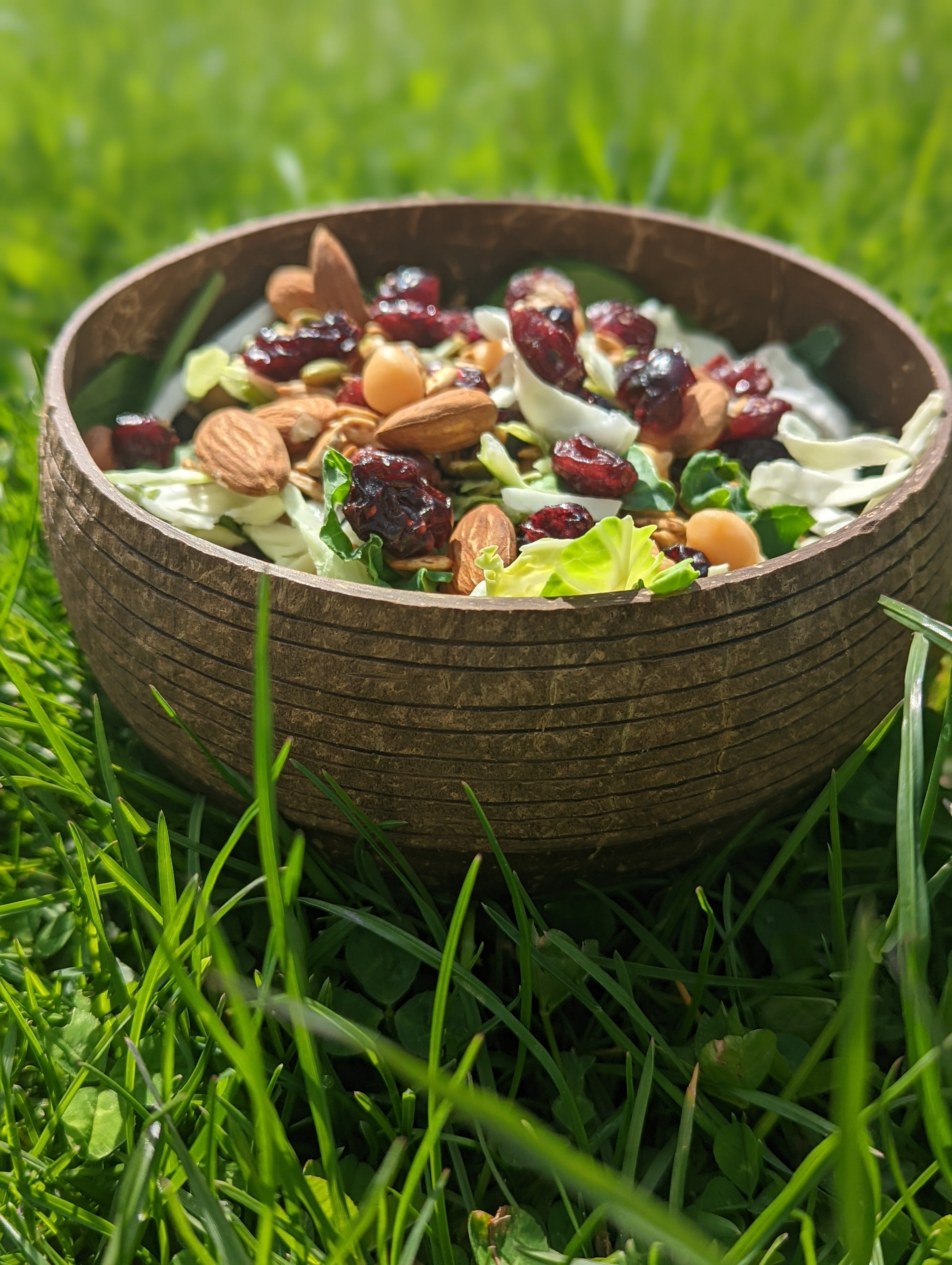 Coconut Shell Salad Bowls | Natural Bowls | Plastic-Free Bowls