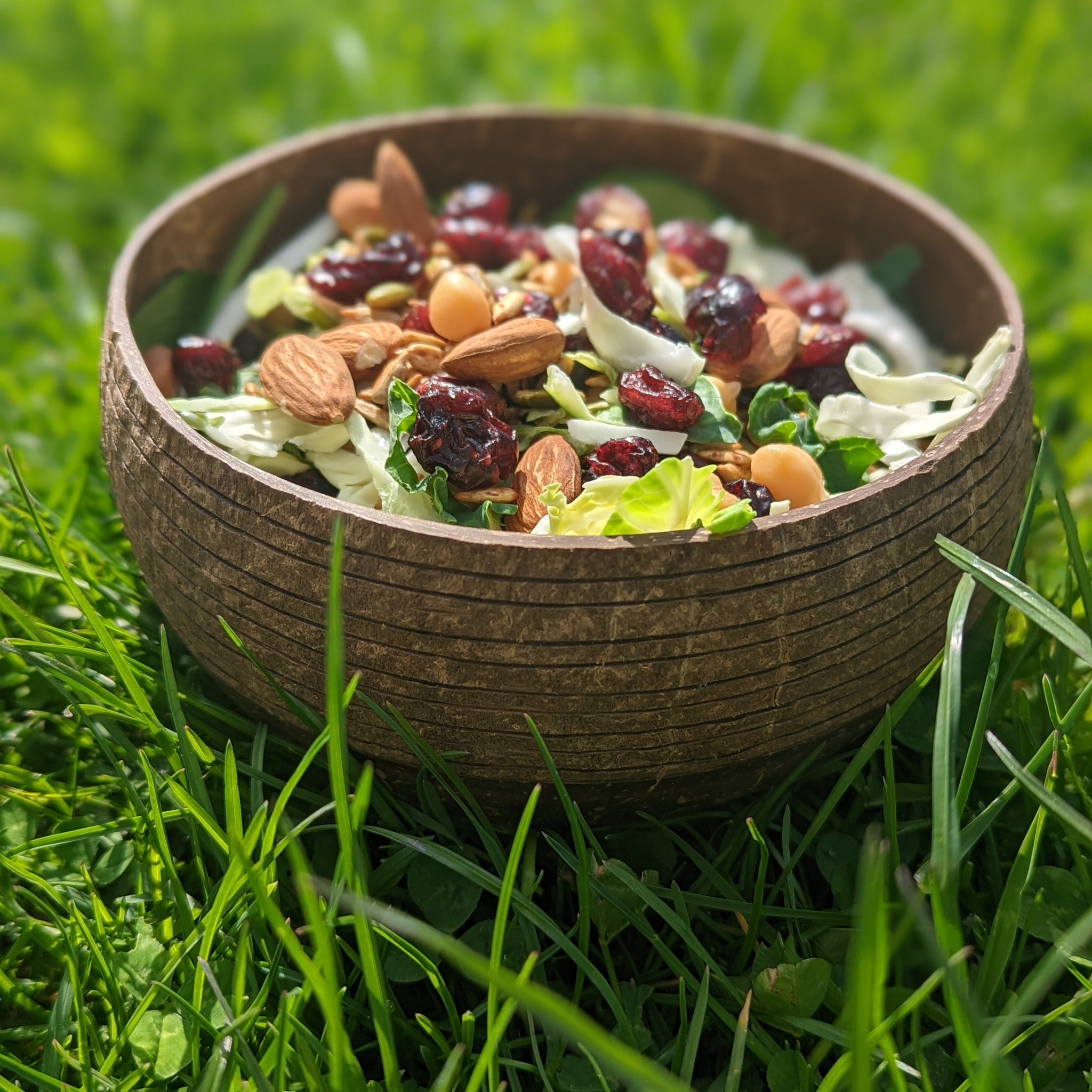 Coconut Shell Salad Bowls | Natural Bowls | Plastic-Free Bowls