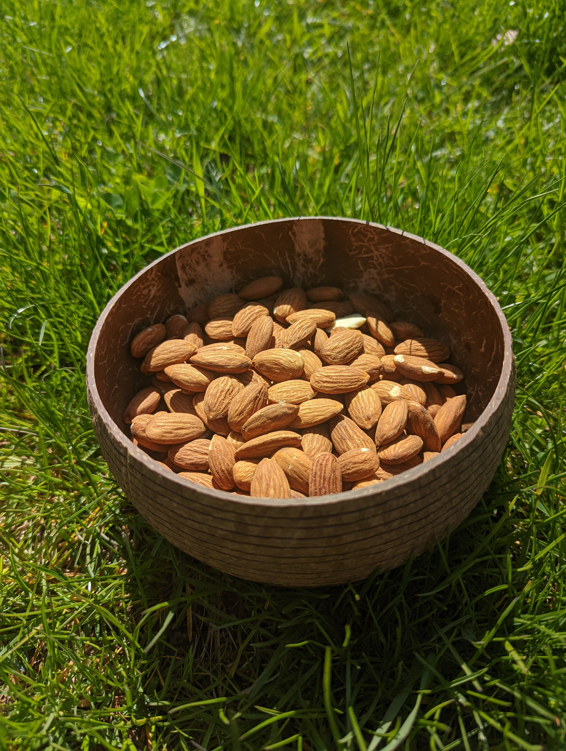 Coconut Shell Snack Bowls | Natural Bowls | Plastic-Free Bowls
