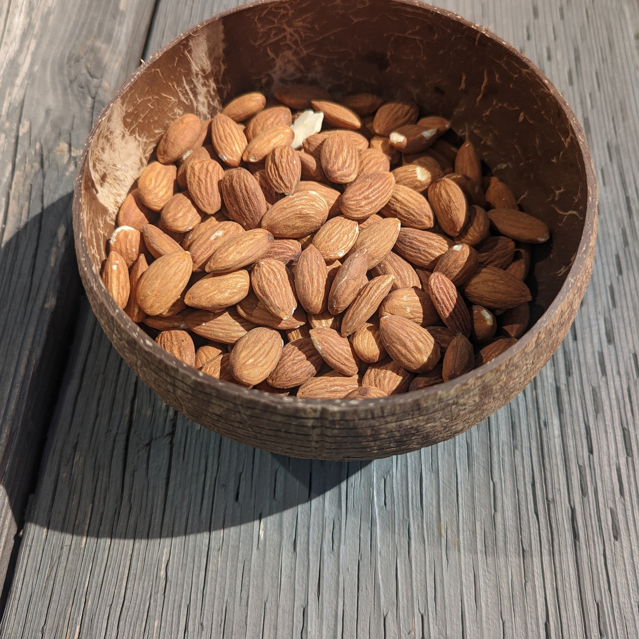 Coconut Shell Snack Bowls | Natural Bowls | Plastic-Free Bowls