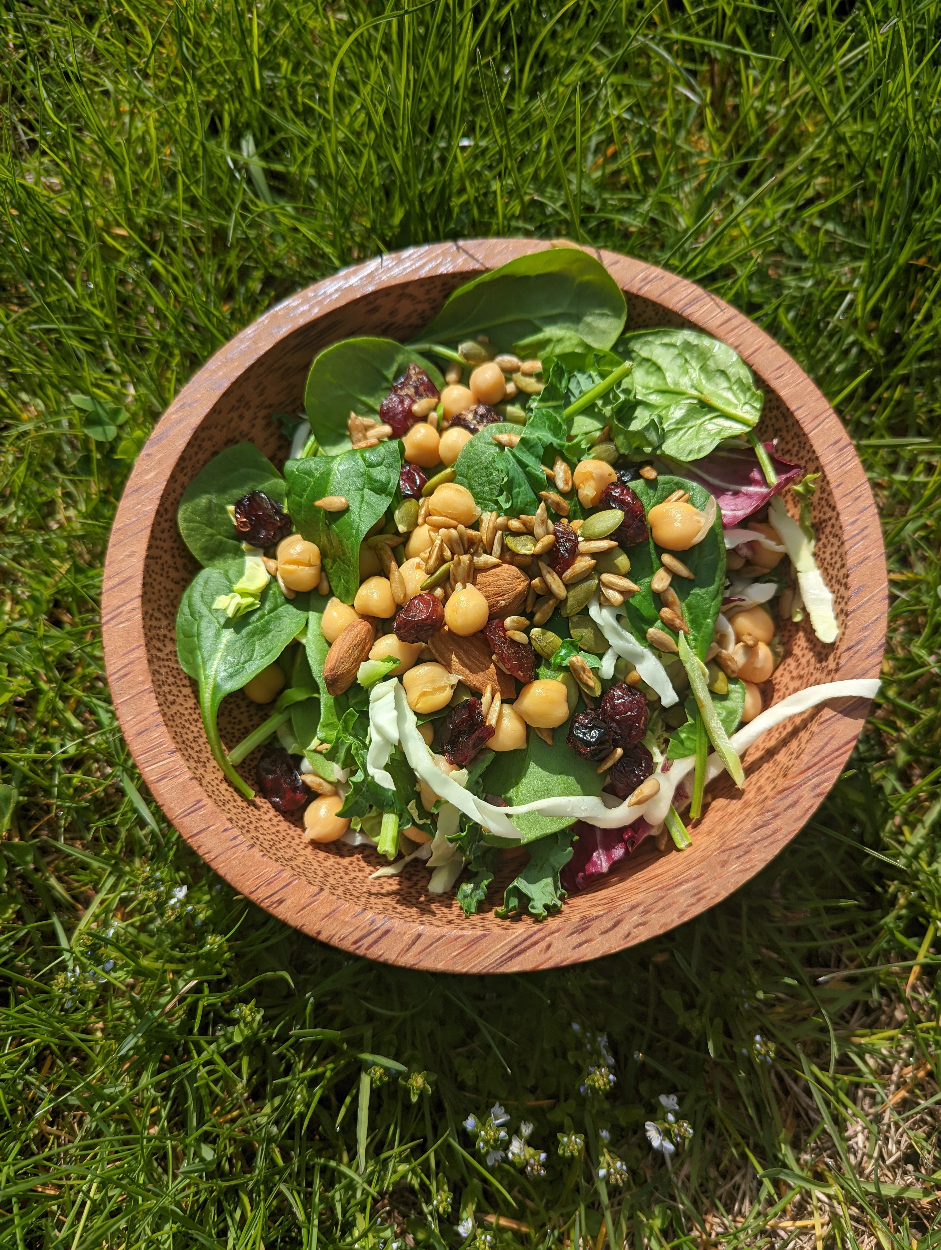 7" Coconut Wood Salad Round Bowls | Natural Bowls | Plastic-Free Bowls