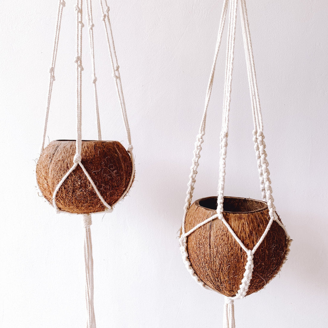 Macrame Plant Hanger - Set of 2