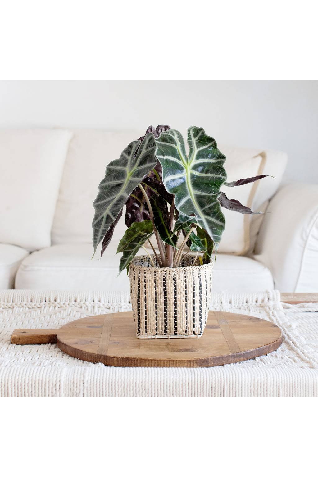 Natural Storage Basket | Stripe Noir