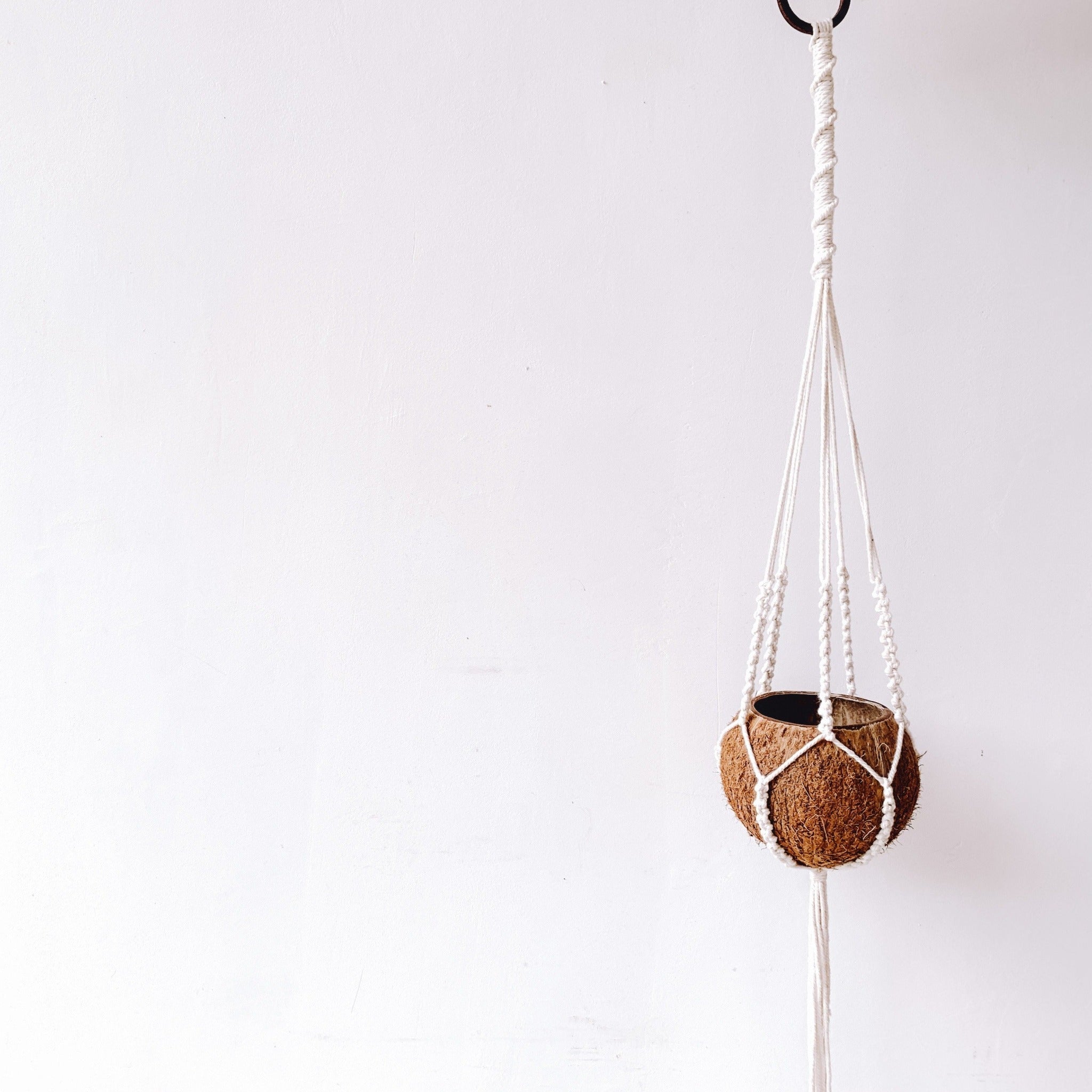 Macrame + Coconut Plant Hanger - Arum
