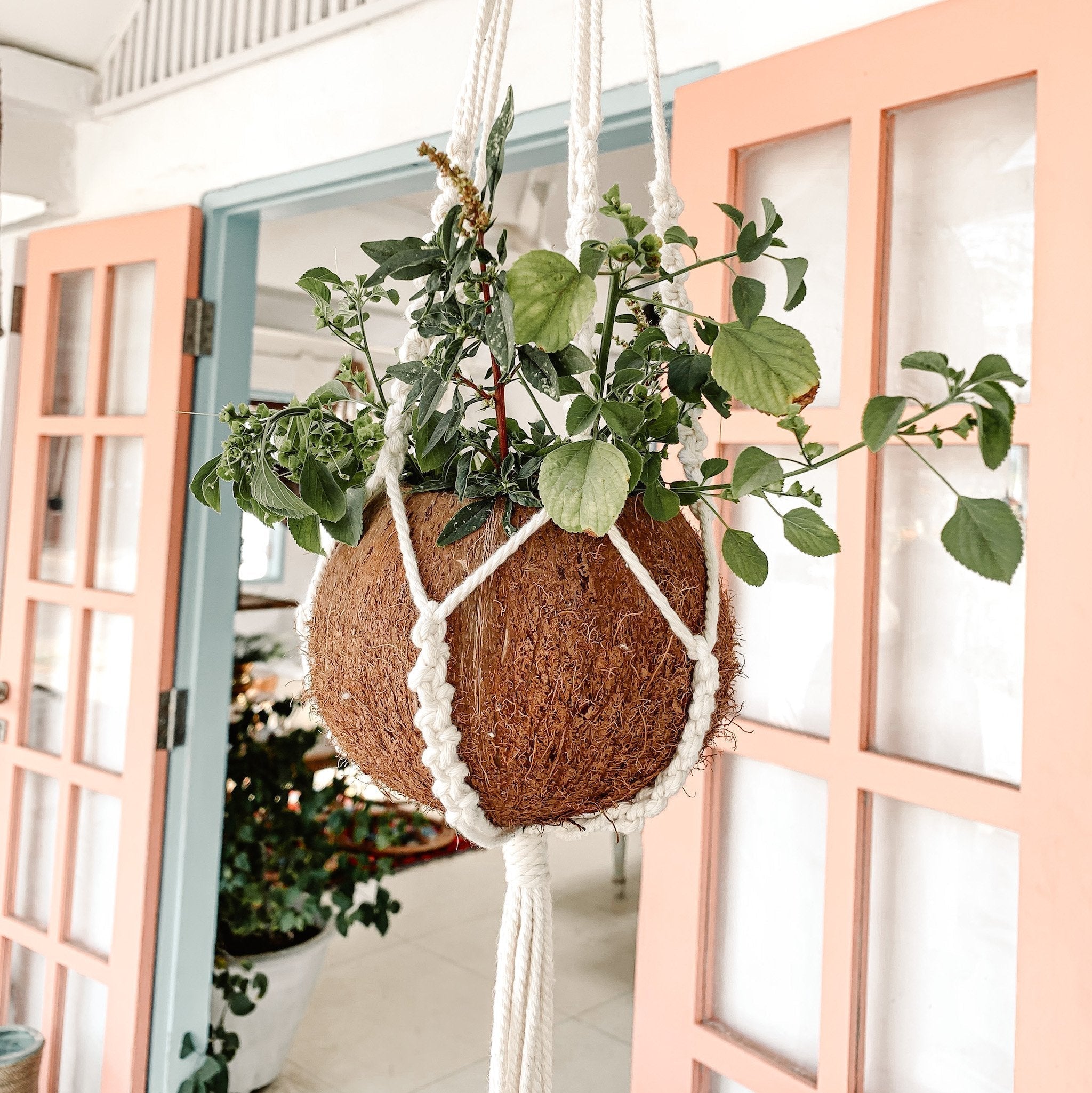 Macrame Plant Hanger - Set of 2