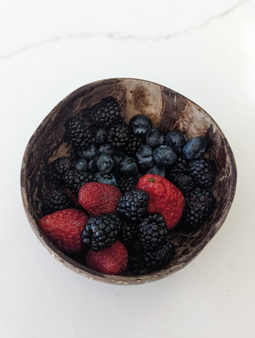 Coconut Shell Bowls | Sustainable Kitchen Bowls