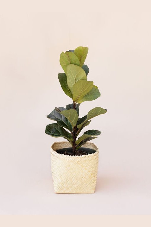 All Natural Storage Basket