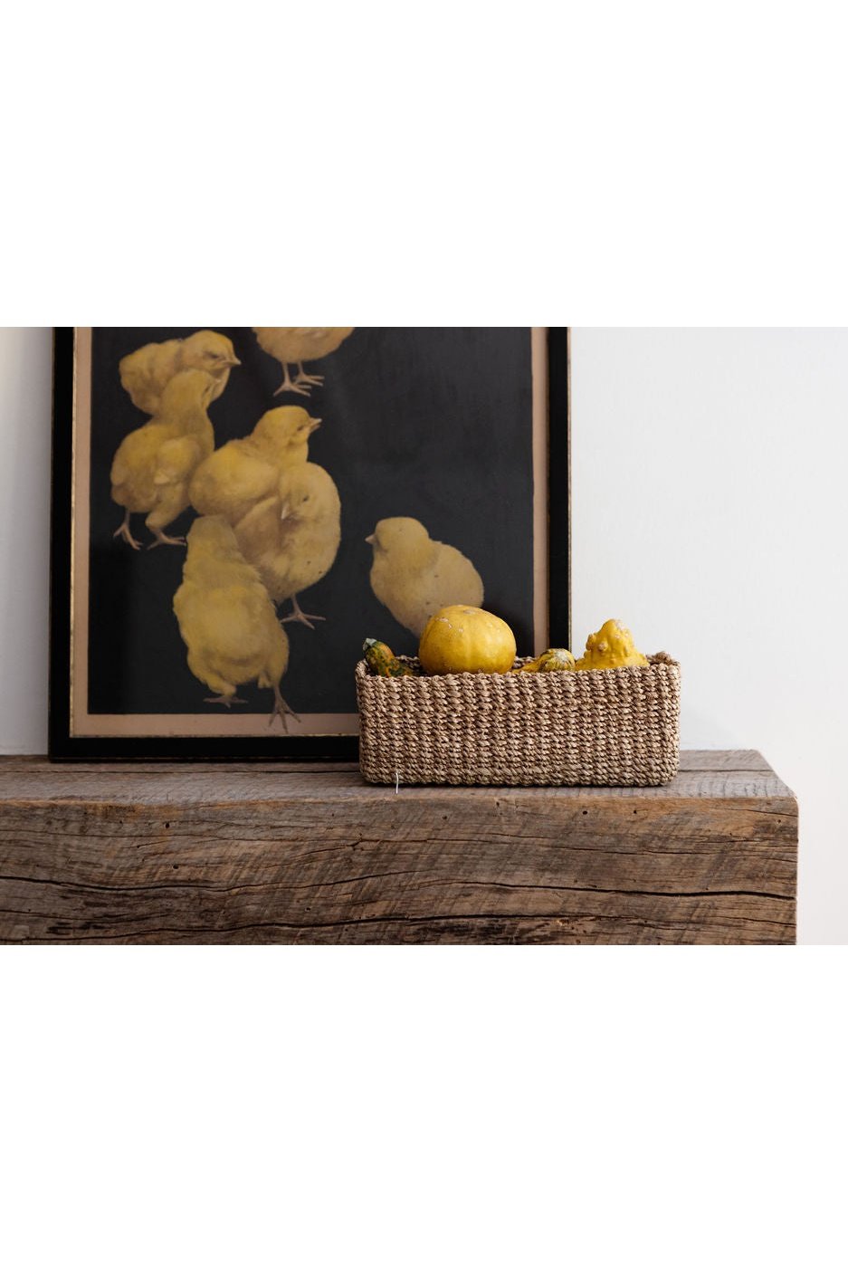 Abaca Storage Tray | All Natural