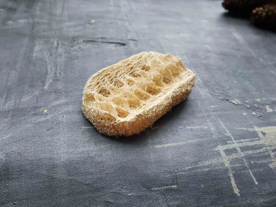 Loofah Dishwashing Sponge | Vegan Long Lasting Kitchen Sponge