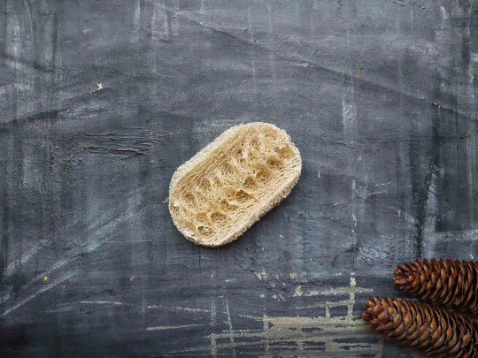 Loofah Dishwashing Sponge | Vegan Long Lasting Kitchen Sponge
