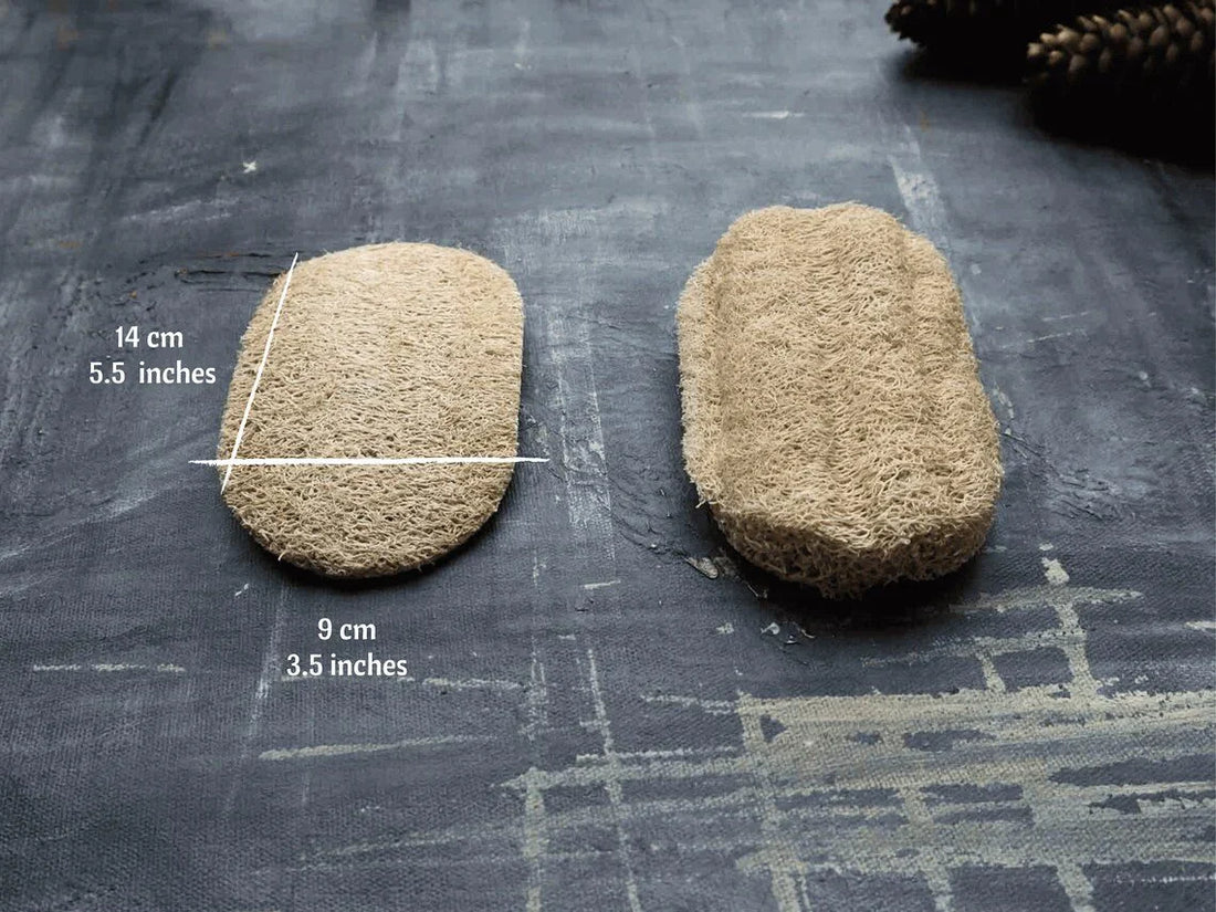 Loofah Dishwashing Sponge | Vegan Long Lasting Kitchen Sponge